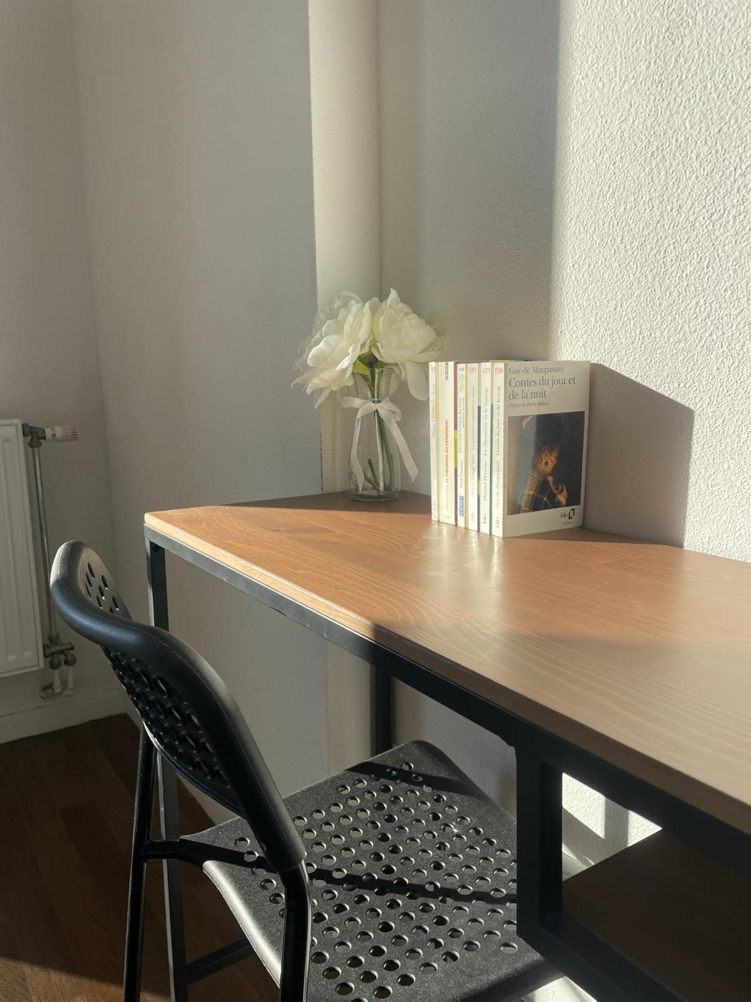 Cosy Equipe Avec Terrasse, Wifi Apartment